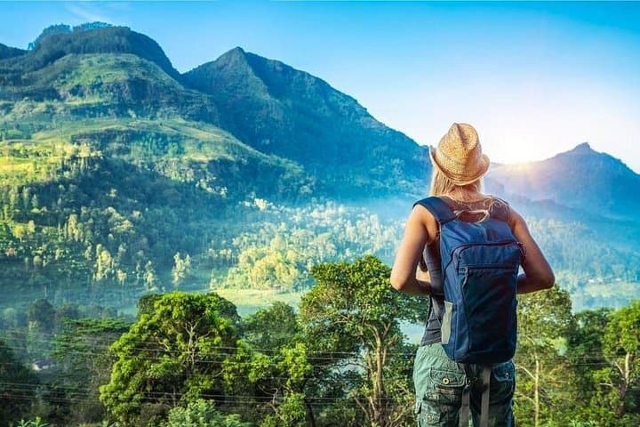 Sri Lanka 7-Day All-Inclusive Tour: Kandy, Ella, Yala & Mirissa Highlights photo 1