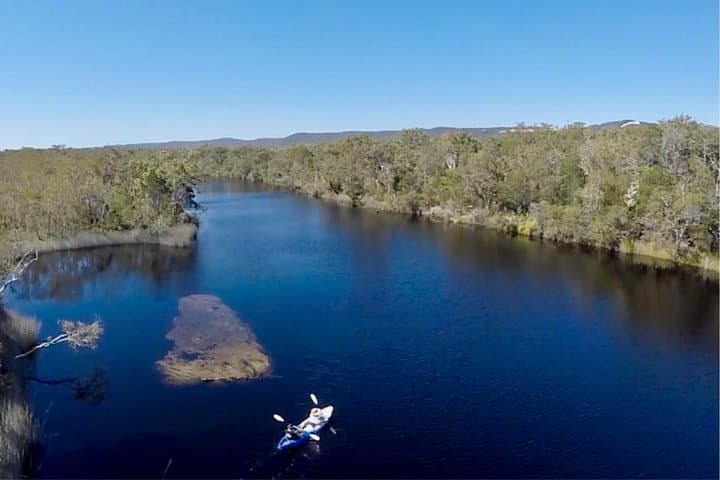 Paddling the Noosa Everglades: Stingrays, Sandbars & Lake Weyba photo 5