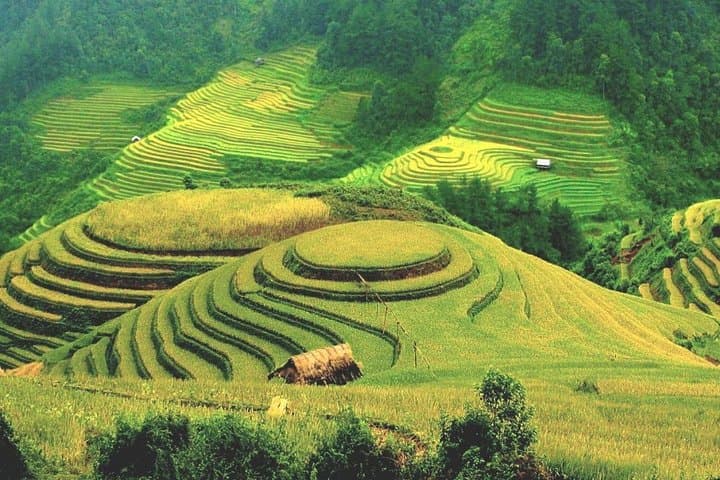 Luxury Ha Giang 3-Day Cultural & Karst Plateau Tour from Hanoi photo 3
