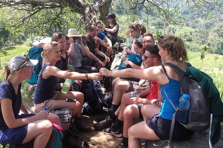 4-Day Sri Lanka Safari: Udawalawe & Yala with Nuwara Eliya and Kandy Highlights photo 1