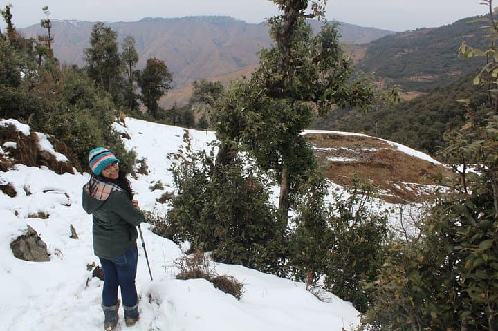 Nagtibba Trek From Pantwari: Beginner-Friendly Two-Day Summit & Sunrise Hike photo 4