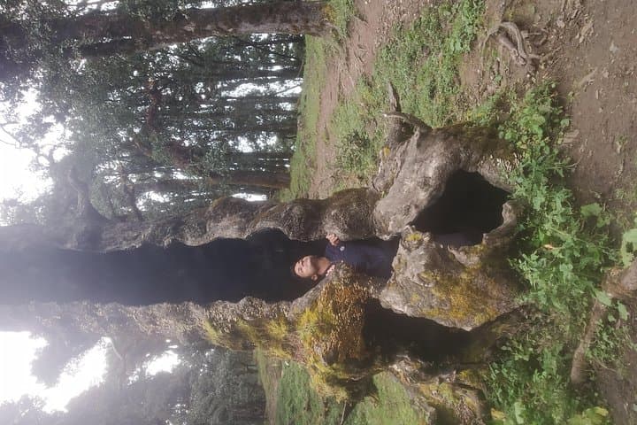 Nagtibba Trek From Pantwari: Beginner-Friendly Two-Day Summit & Sunrise Hike photo 5