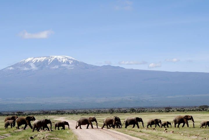 7-Day Tsavo, Amboseli, Lake Nakuru & Masai Mara Wildlife Safari — Big Five, Flamingos & Maasai Culture photo 4