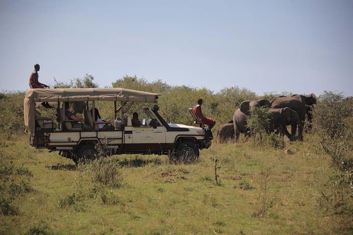7-Day Kenya Safari: Samburu, Ol Pejeta, Lake Naivasha & Maasai Mara photo 6