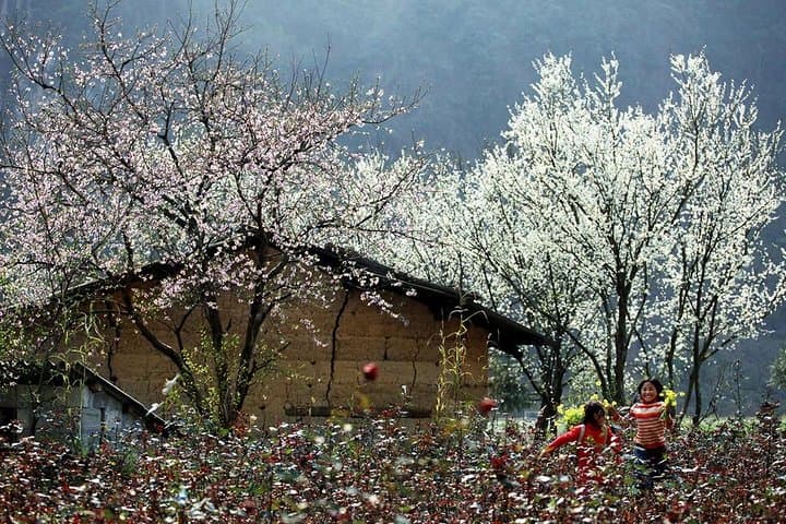 Mai Chau 2-Day Classic: Cycling, Village Homestay & 1000-Step Cave Hike photo 5