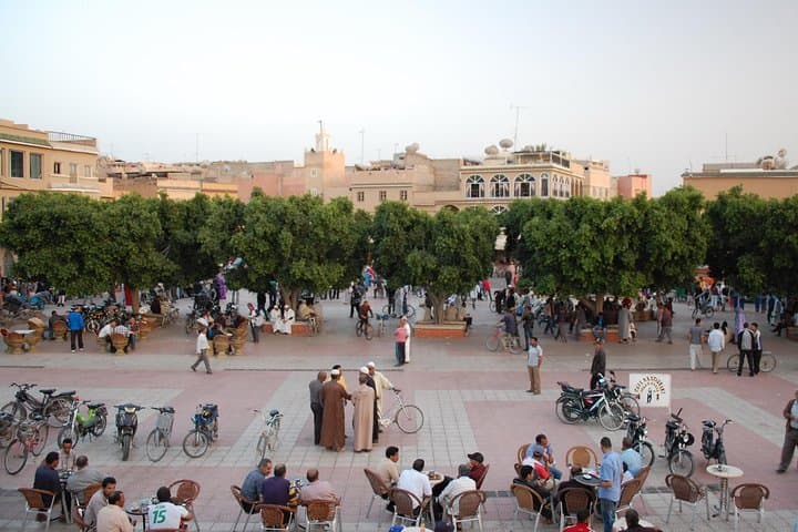 Taroudant Half-Day Excursion from Agadir — Ramparts, Souks & Argan Goats