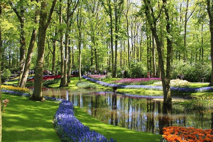 Private Half-Day Tour to Keukenhof Tulip Fields from Amsterdam photo 2