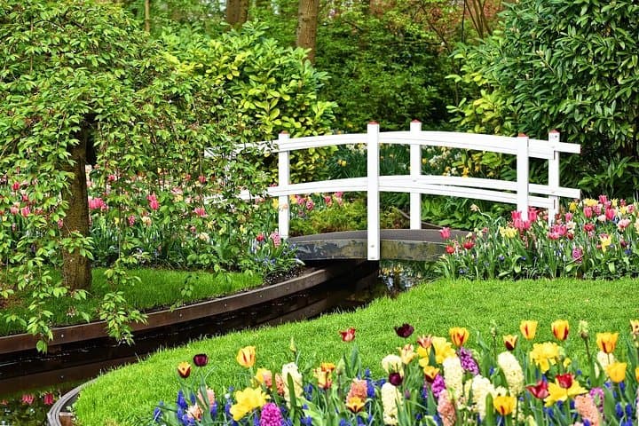 Private Half-Day Tour to Keukenhof Tulip Fields from Amsterdam photo 5