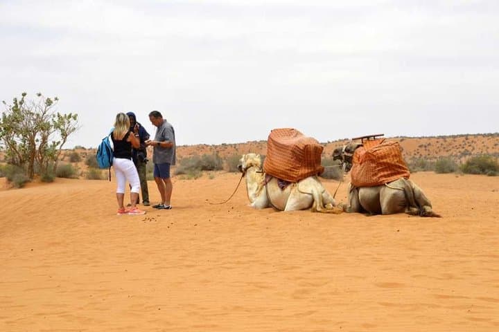 Little Sahara Day Trip from Agadir: Tiznit, Tifnit & Massa Excursion