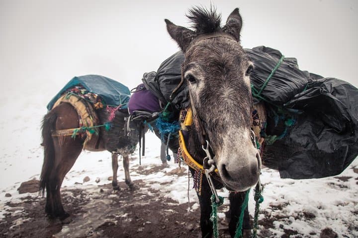 Conquer Jebel Toubkal: 7-Day Trek from Marrakech into the High Atlas photo 4
