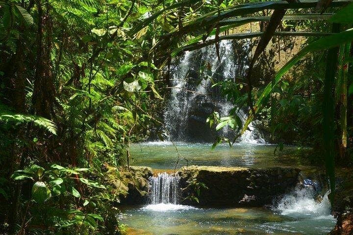 Port of Suva Private Tour — Custom Waterfalls, Villages & Museum Experiences photo 2
