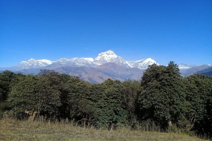 Mohare Danda ECO Trek: 6-Day Annapurna Foothills Tea-House Route photo 3