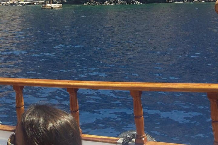 Santorini Volcano & Hot Springs Private Tour — Nea Kameni Hike from Fira photo 5