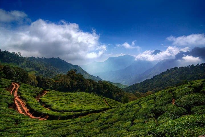 Kerala 4-Day Pocket Friendly Package: Cochin, Munnar & Alleppey Houseboat photo 5
