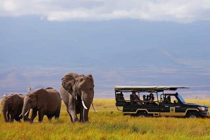 Rift Valley Lakes to Maasai Mara: 6-Day Private Safari through Kenya’s Wildlife Heartland