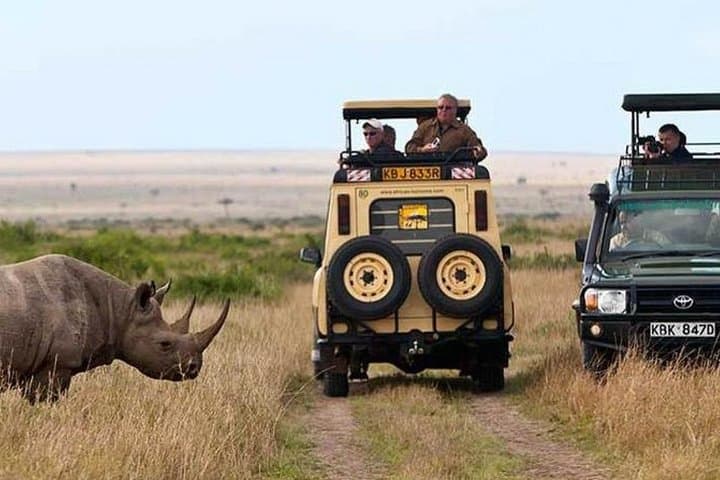 Rift Valley Lakes to Maasai Mara: 6-Day Private Safari through Kenya’s Wildlife Heartland photo 2