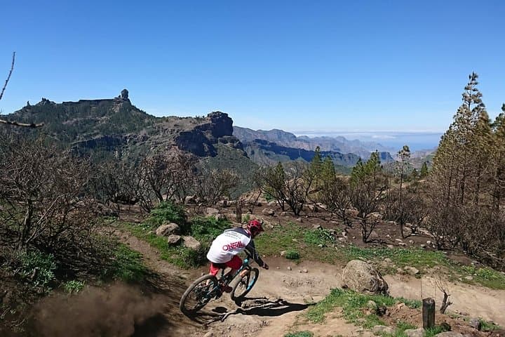 Enduro MTB Tours in Gran Canaria: High-Altitude Rides from Pico de las Nieves