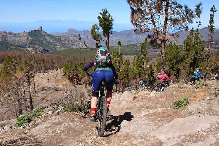 Enduro MTB Tours in Gran Canaria: High-Altitude Rides from Pico de las Nieves photo 2