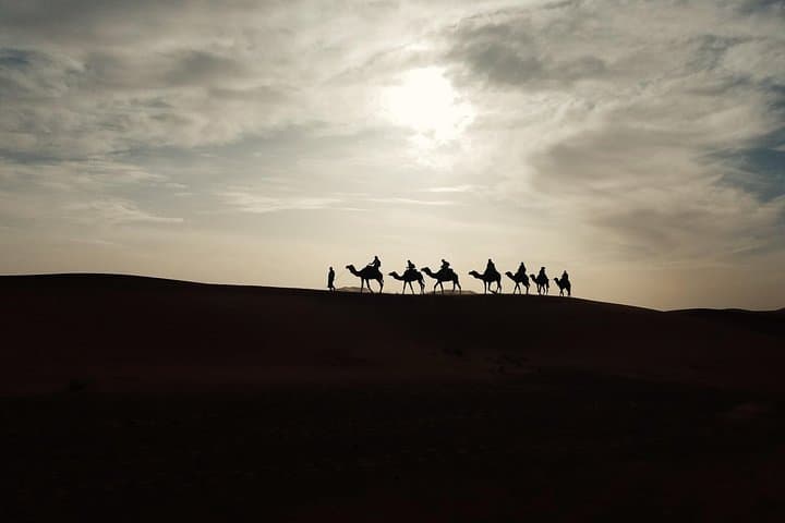 7-Day Private Morocco Tour from Fez — Sahara Dunes, Atlas Passes & Imperial Cities photo 5