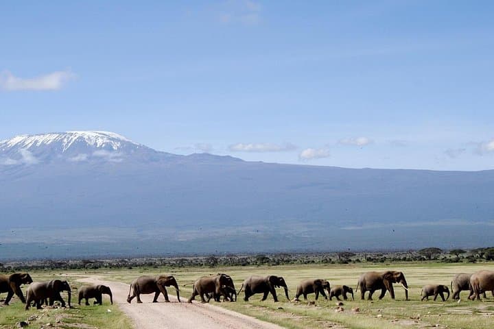 6-Day Amboseli, Lake Naivasha & Masai Mara 4x4 Safari: Big Five, Rift Views & Maasai Culture photo 1