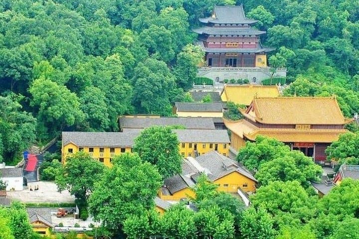 Hangzhou Layover: Private West Lake, Lingyin Temple & Longjing Tea Tour