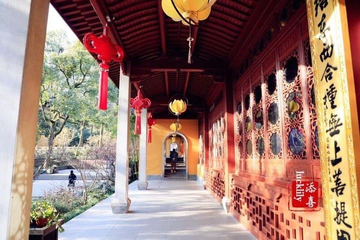 Make the Most of a Hangzhou Layover: West Lake, Lingyin Temple & Longjing Tea Fields photo 4