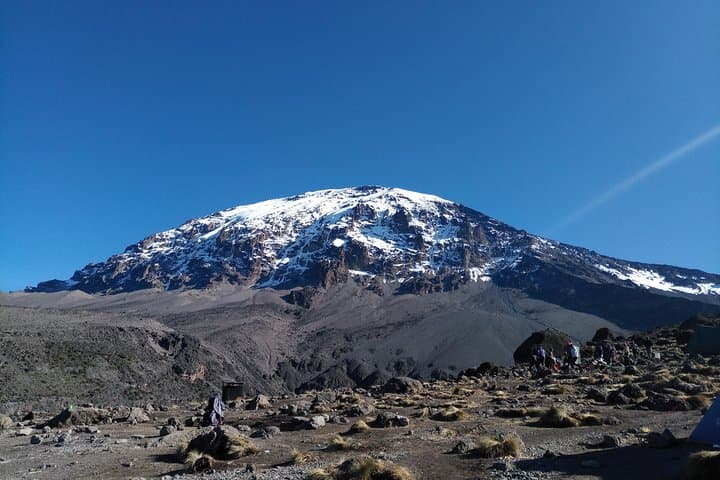 7-Day Lemosho Route: Climb Mount Kilimanjaro from Moshi to Uhuru Peak photo 4