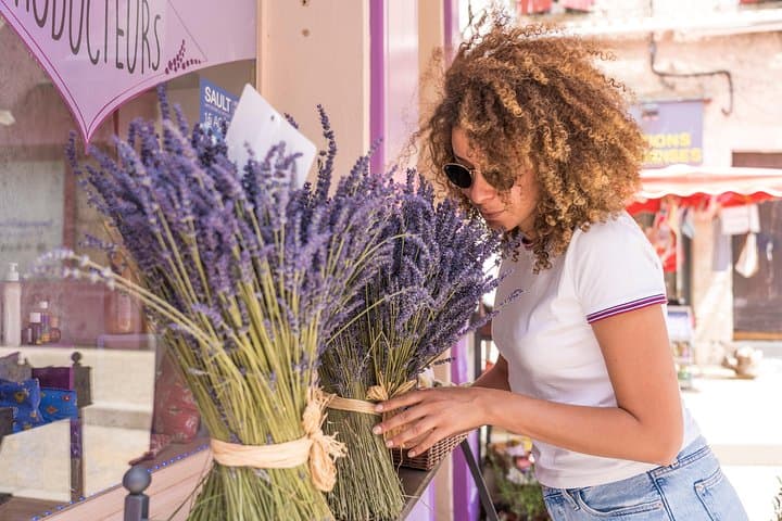 Lavender in Sault: Half-Day Small-Group Tour from Avignon photo 4