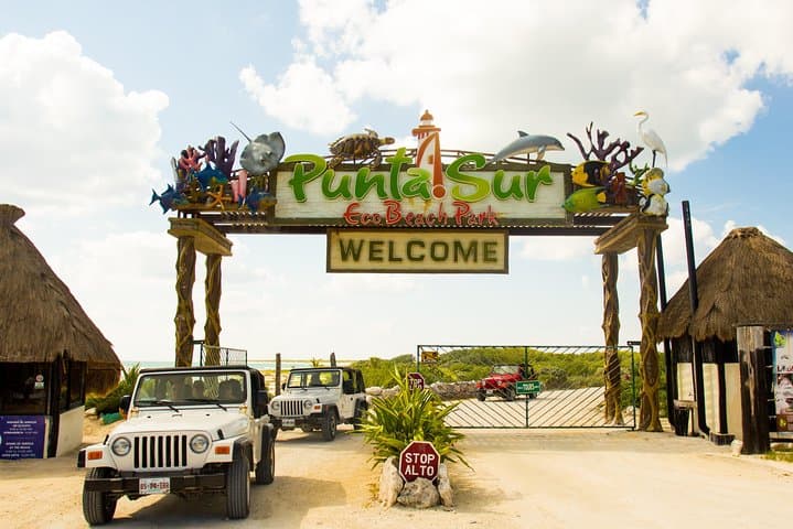 Drive, Snorkel and Explore Punta Sur: Cozumel Jeep Adventure with Lunch