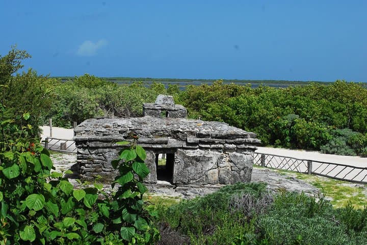 Drive, Snorkel and Explore Punta Sur: Cozumel Jeep Adventure with Lunch photo 5