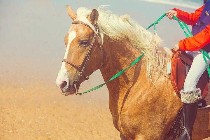 One-Hour Playa Blanca Horseback Ride from Mnar Castle, Tangier photo 3