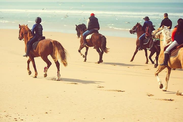 One-Hour Playa Blanca Horseback Ride from Mnar Castle, Tangier photo 4