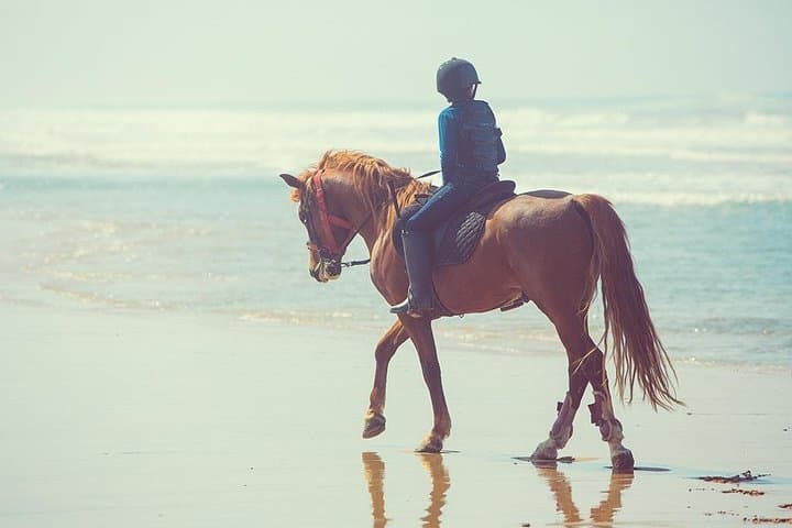 One-Hour Playa Blanca Horseback Ride from Mnar Castle, Tangier