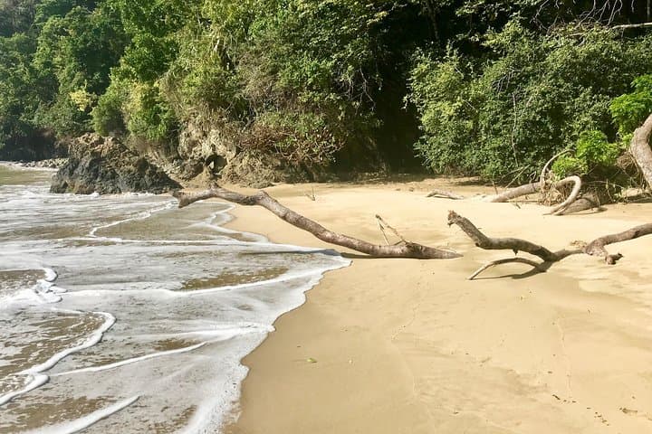Pirate's Bay Tobago Day Trip: Snorkel, Lunch & Secluded Beach Access photo 4