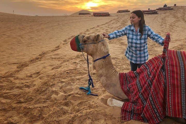 Dubai Private Desert Safari: 4x4 Dune Bashing & Bedouin Camp Experience photo 5