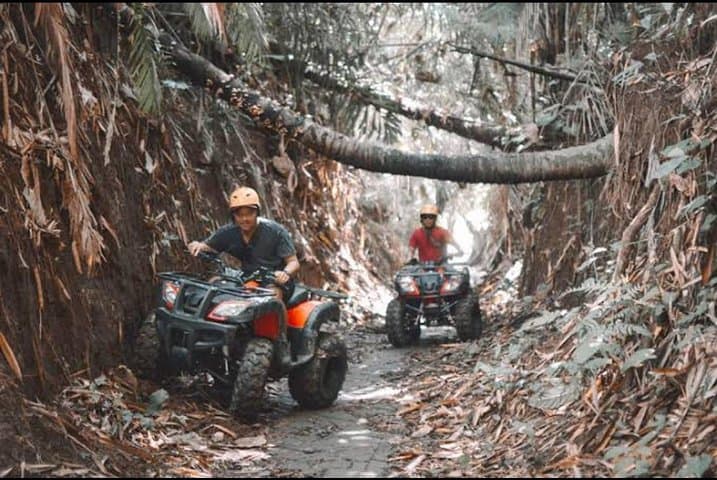 Ubud ATV & Jungle Hopper Safari — Bali Wild Jungle Expedition