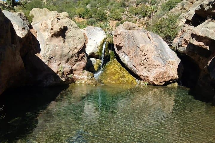 Paradise Valley Half-Day Trip from Agadir: Atlas Foothills & Palm Grove Views photo 3