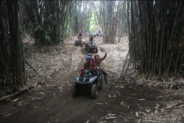 Ubud ATV & Jungle Hopper Safari — Bali Wild Jungle Expedition photo 4