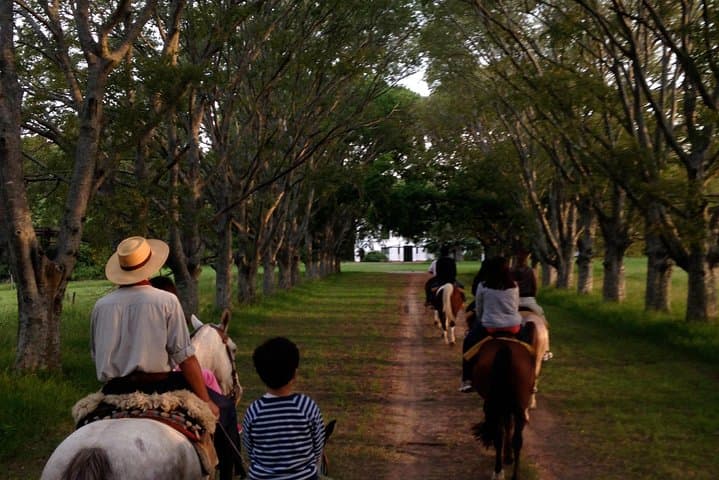 Full-Day Estancia & Gaucho Party from Buenos Aires