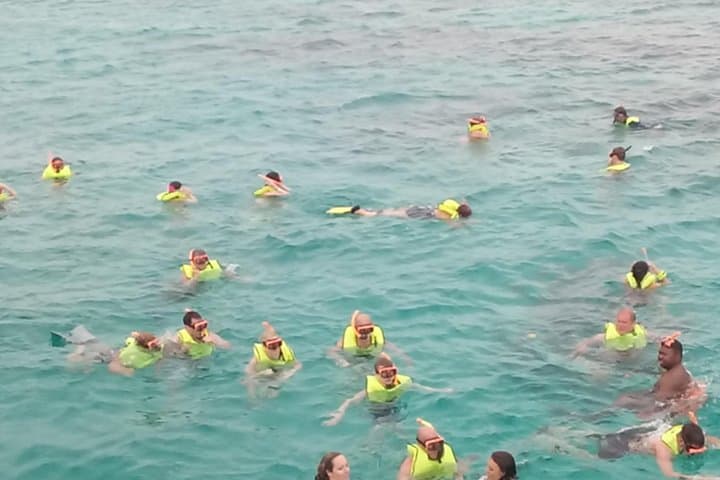 Private Montego Bay Snorkel Tour & Shore Excursion — Reefs, Glass-Bottom Boat & Beach photo 4