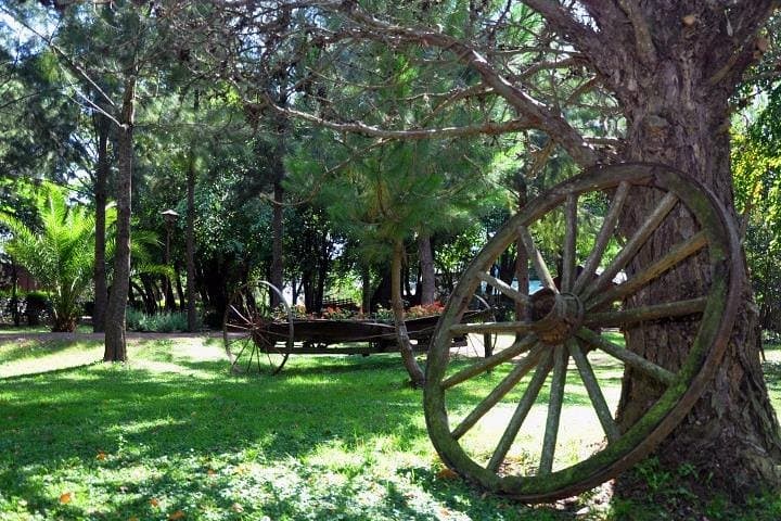 Full-Day Estancia & Gaucho Party from Buenos Aires photo 5