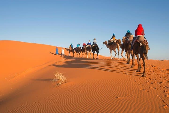 3-Day Shared Sahara Tour: Marrakech to Merzouga Dunes and Fes photo 5
