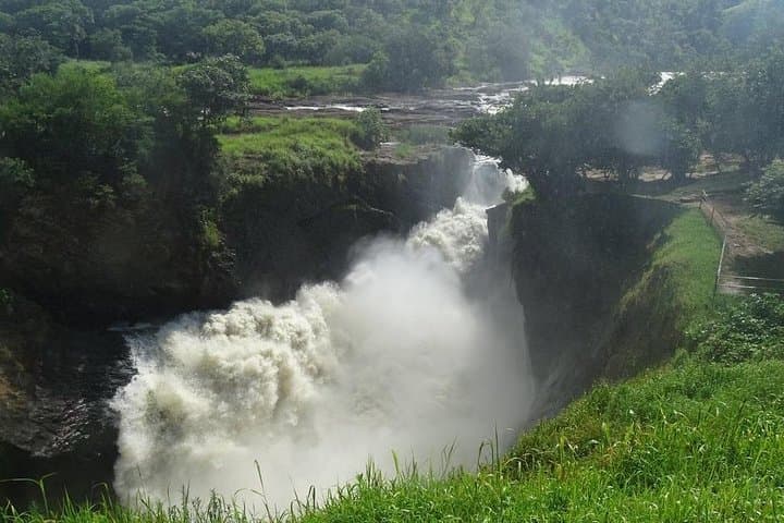 7-Day Uganda Safari: Gorilla & Chimpanzee Trekking with Murchison Falls Game Viewing photo 5