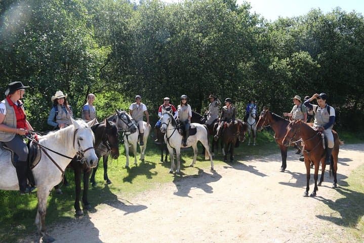 Horseback Riding the Northern Camino: 7-Day Abadín to Arzúa Equestrian Route
