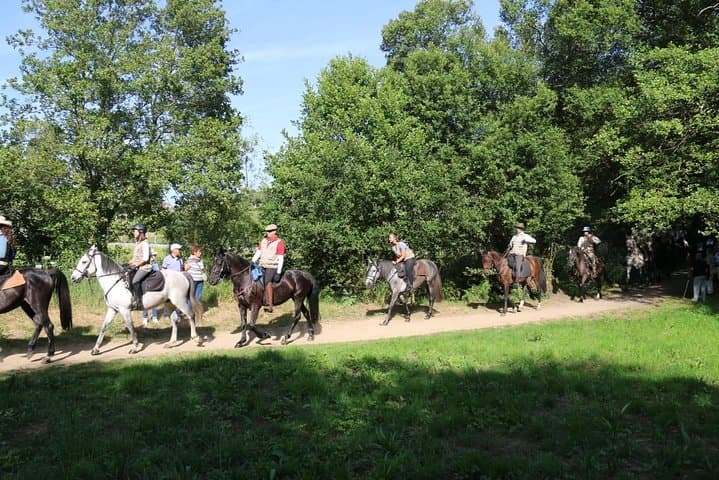 Horseback Riding the Northern Camino: 7-Day Abadín to Arzúa Equestrian Route photo 3