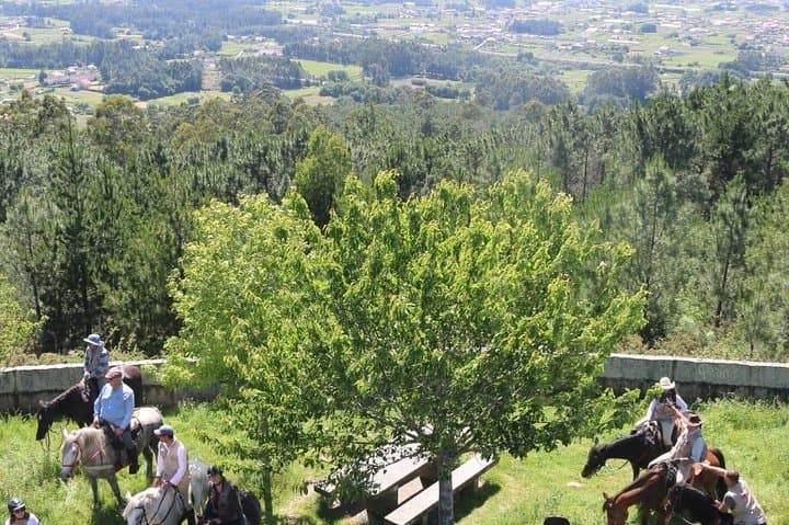 Horseback Riding the Northern Camino: 7-Day Abadín to Arzúa Equestrian Route photo 2