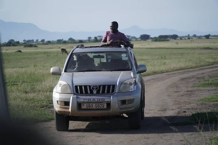 7-Day Uganda Safari: Gorilla & Chimpanzee Trekking with Murchison Falls Game Viewing photo 2