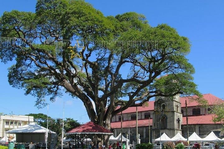 Private Castries Shopping Tour & Transfers — Castries St. Lucia Car Service photo 4