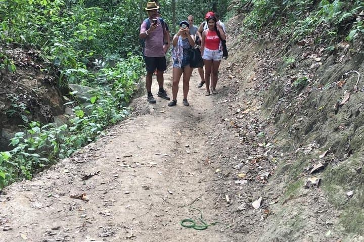 Day Trip to Tayrona Park: Hike to Cabo San Juan from Cartagena photo 4