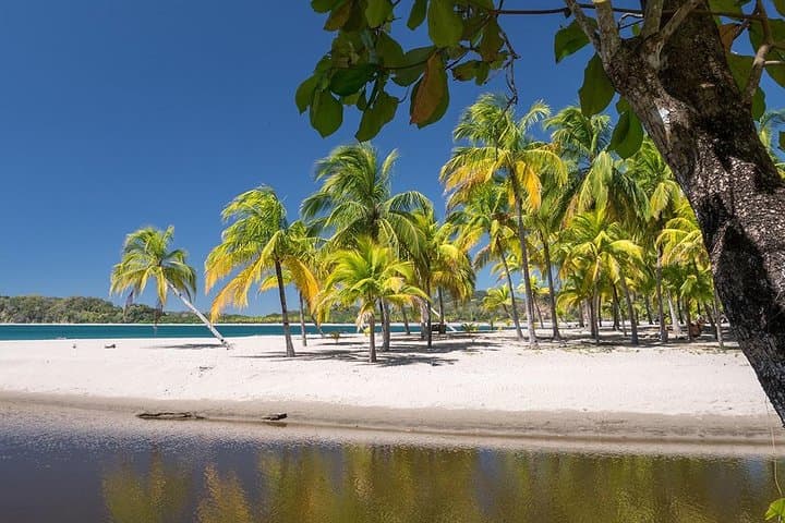 Liberia Airport to Samara & Carrillo Beach Private Transfer — Door-to-Beach Shuttle